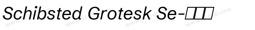 Schibsted Grotesk Se字体转换